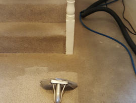 wantsum carpet cleaning whitstable, herne bay, canterbury and thanet carpets cleaned to a high standard
